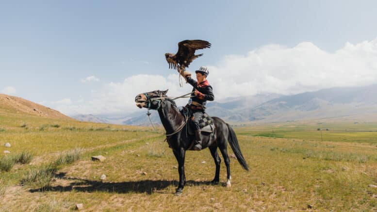 Kyrgyz Study Guide Mountain Horse Falcon